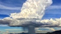 Rain Bomb Phenomenon