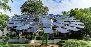 सोलर ट्री (Solar Tree) क्या है?