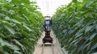 Delhi Urban Farming Campaign
