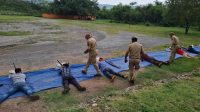 J&K Village Defence Groups