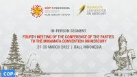 COP-4 Minamata Convention on Mercury