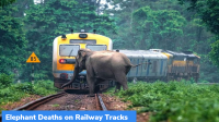 Permanent Body to Prevent Elephant Deaths on Railway Tracks