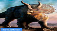 Triceratops Horridus