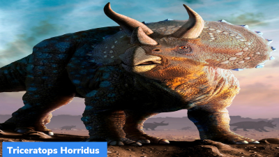 Triceratops Horridus