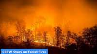 CEEW Study on Forest Fires