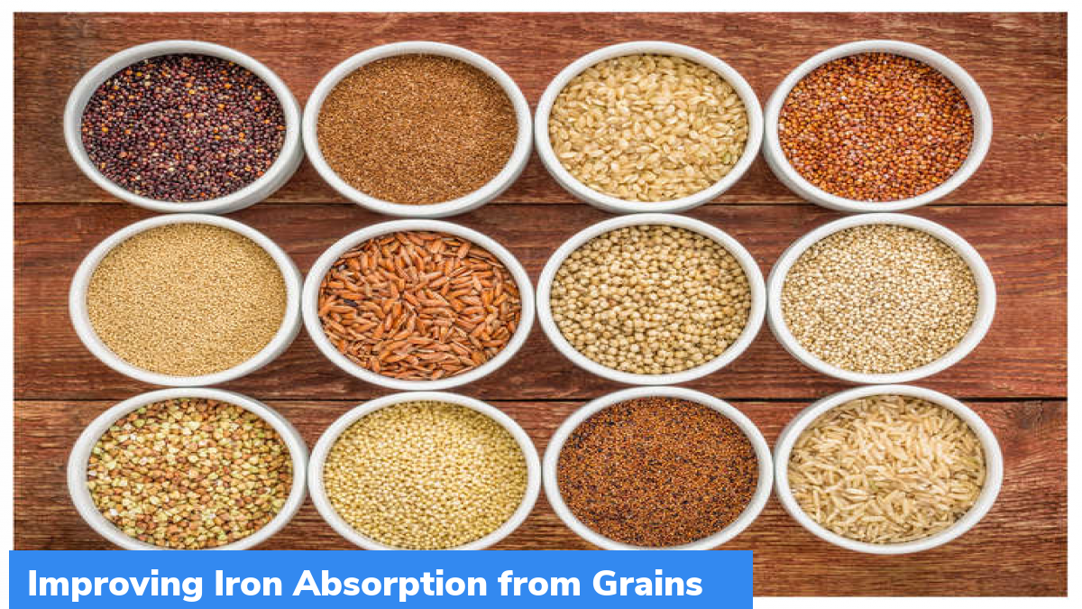 Improving Iron Absorption from Grains GKToday