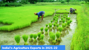 2021-22 में भारत का कृषि निर्यात रिकॉर्ड स्तर पर पहुंचा