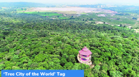 ‘Tree City of the World’ Tag