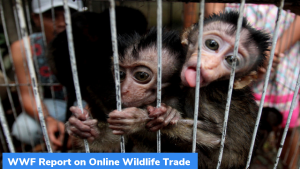 ऑनलाइन वन्यजीव व्यापार पर WWF रिपोर्ट : मुख्य बिंदु