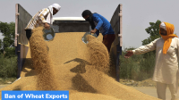 Ban of Wheat Exports
