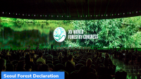 Seoul Forest Declaration
