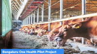 Bengaluru One Health Pilot Project