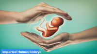 What is ‘imported’ human embryo? Why the government has banned import of human embryo?