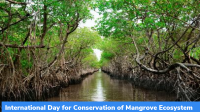 July 26: International Day for Conservation of Mangrove Ecosystem
