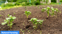 Himachal Pradesh Agriculture Department Launches ‘Mobile Van Program’ to Promote Natural Farming