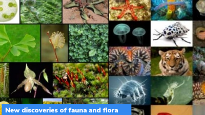 New discoveries and new records of fauna and flora