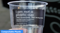 Start-up loan for Compostable Plastic