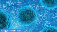 Langya: New zoonotic virus in China