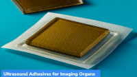 MIT: Ultrasound Adhesives for Imaging Organs