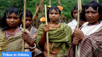 Encyclopedia of Tribes in Odisha