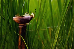 कटि बिहू (Kati Bihu) क्या है?