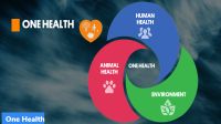 Animal Pandemic Preparedness Initiative and Animal Health System Support for One Health