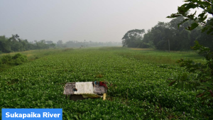 NGT ने ओडिशा सरकार को सुकापाइका नदी (Sukapaika River) को पुनर्जीवित करने का निर्देश दिया