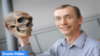 Svante Pääbo receives Nobel Prize in Medicine