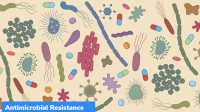 “Embracing a One Health Framework to Fight Antimicrobial Resistance” Report