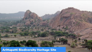 तमिलनाडु के पहले जैव विविधता विरासत स्थल (Biodiversity Heritage Site) की घोषणा की गई