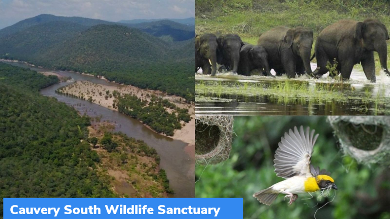 Thanthai Periyar Wildlife Sanctuary GKToday