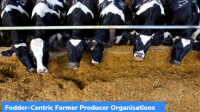 Fodder-Centric Farmer Producer Organisations