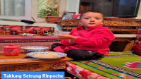 Taklung Setrung Rinpoche
