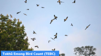 Nagaland: Tokhü Emong Bird Count (TEBC)