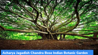 Acharya Jagadish Chandra Bose Indian Botanic Garden