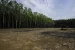 Ineffectiveness of Protected Areas in Biodiversity Conservation