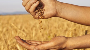 2022 Global Food Security Index (GFSI) Report जारी की गई