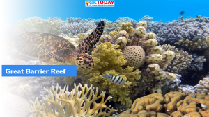 वैज्ञानिकों ने ग्रेट बैरियर रीफ कोरल (Great Barrier Reef Coral) को फ्रीज किया