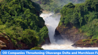 Oil Companies Threatening Okavango, Murchison Falls