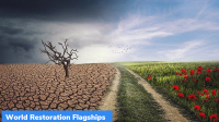 World Restoration Flagships