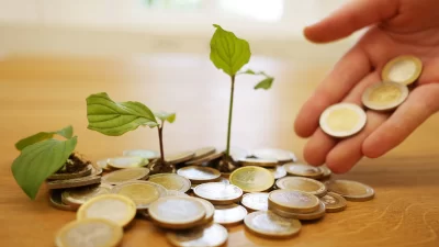 Reserve Bank of India to Issue Sovereign Green Bonds