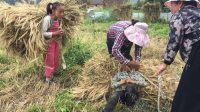 Anthropological study in rural China