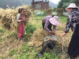 Anthropological study in rural China