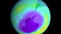 Earth’s Ozone Layer on Track to Recovery within Four Decades