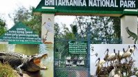 Bird Population and Diversity Increases at Bhitarkanika National Park