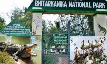 Bird Population and Diversity Increases at Bhitarkanika National Park