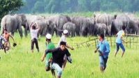 Muthuvans and Human-Animal Conflicts