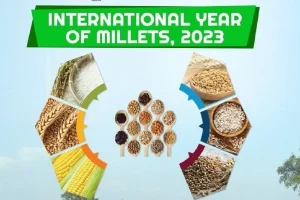 अंतर्राष्ट्रीय मोटा अनाज वर्ष (International Year of Millets) 2023 : मुख्य बिंदु