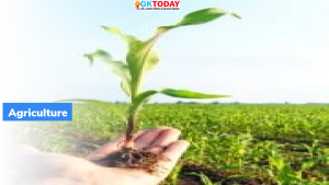 She Feeds the World कार्यक्रम लांच किया गया