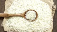 Indian Rice Congress 2023